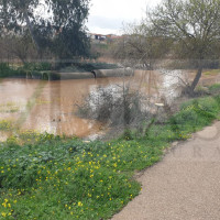 Extremadura activa el PLATERCAEX de nuevo por la alerta de lluvia y viento este miércoles
