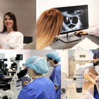 España vigila de cerca la propuesta de Francia para promover la congelación de óvulos