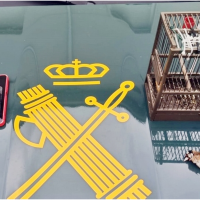 El SEPRONA sorprende a un vecino de Mérida cazando aves con artes prohibidas