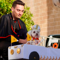 Keka gana el primer premio del Concurso 'Carnaval de las Mascotas'