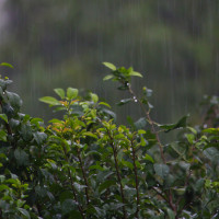El viento deja rachas de más de 100 km/h en Badajoz esta madrugada