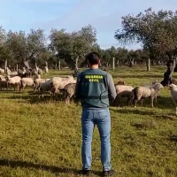 Guía práctica para sobrevivir a timos, emergencias o violencia en el mundo rural