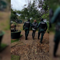 Cuatro detenidos por ciberataques contra organismos públicos