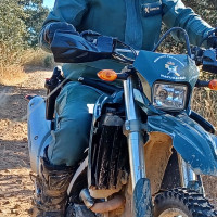 Dos pacenses infrigen la Ley de Caza tras matar a especies no autorizadas