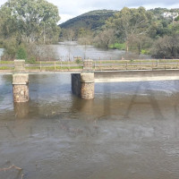Alertan de las pérdidas en el campo por los continuos episodios de lluvias