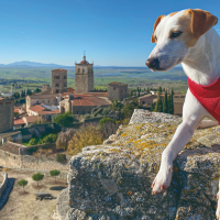 Extremadura lanza una guía para disfrutar de la región con tu compañero peludo