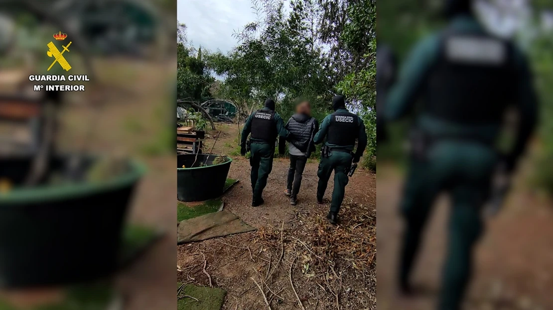 Cuatro detenidos por ciberataques contra organismos públicos