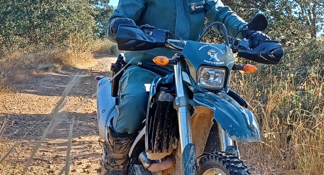 Dos pacenses infrigen la Ley de Caza tras matar a especies no autorizadas