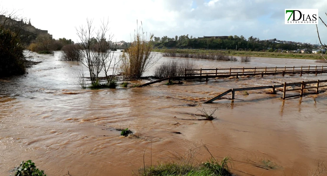 Imágenes de los estragos de la borrasca Marta a su paso por Badajoz