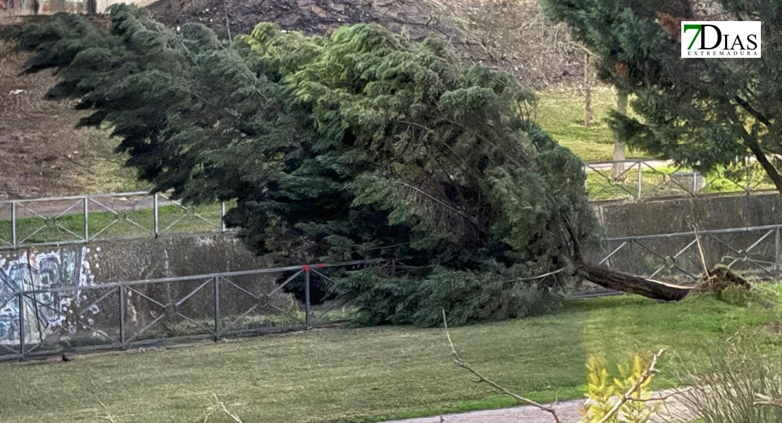 Imágenes de los estragos de la borrasca Marta a su paso por Badajoz