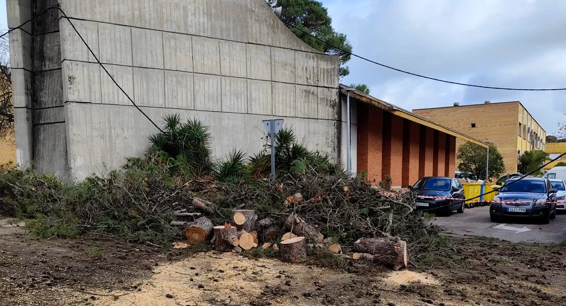 Los bomberos forestales del INFOEX trabajan sin descanso para reparar los daños del temporal