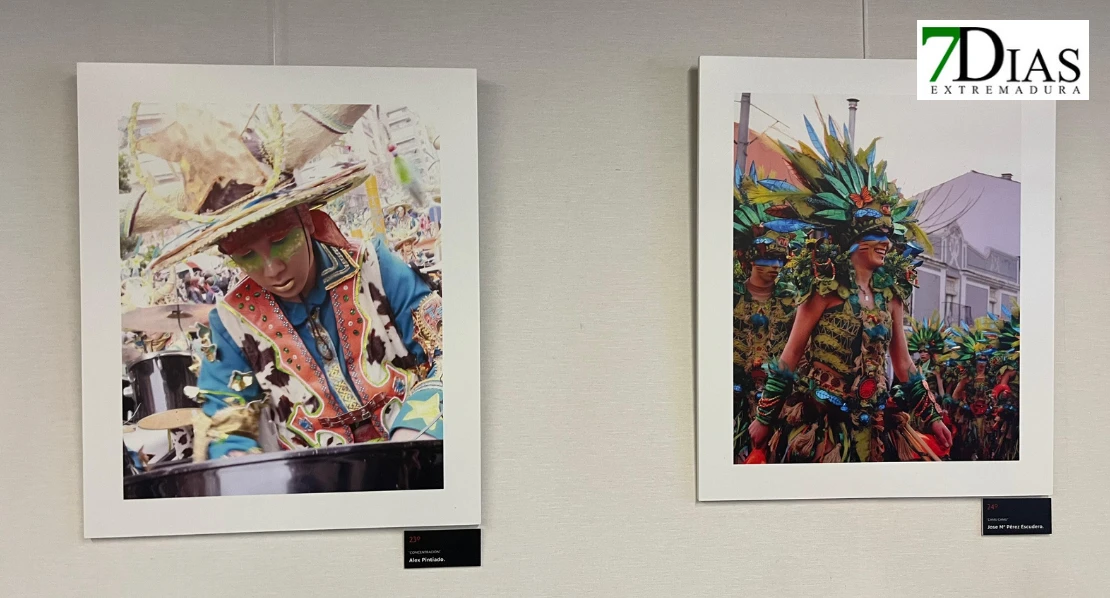 Ya se puede visitar la exposición de las fotografías nominadas al Antifaz de Plata