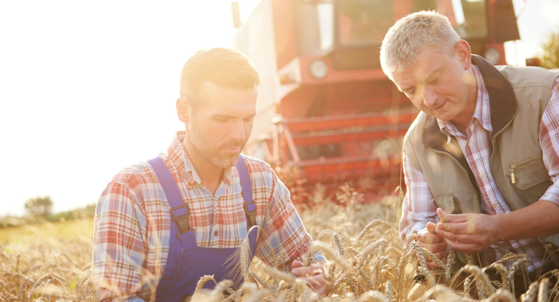 El PSOE rechaza la propuesta del PP en Bruselas y exige una PAC fuerte y financiación estable