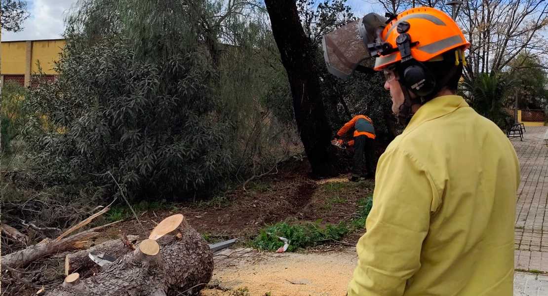 Los bomberos forestales del INFOEX trabajan sin descanso para reparar los daños del temporal