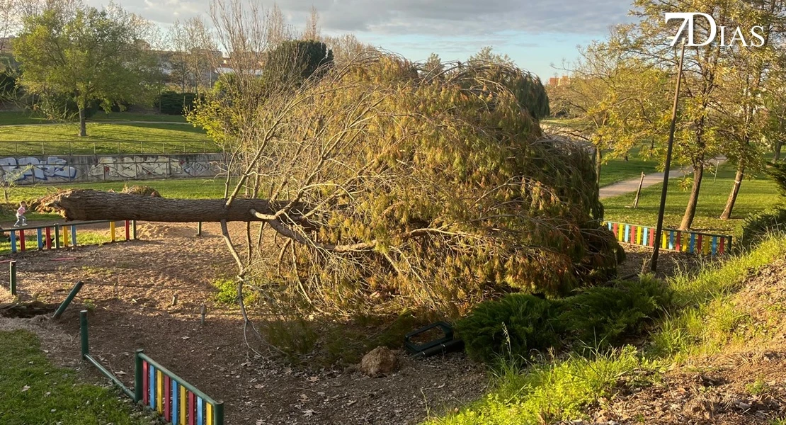 NO PUBLICAR: Así está el parque del Rivillas dos meses después del episodio intenso de borrascas