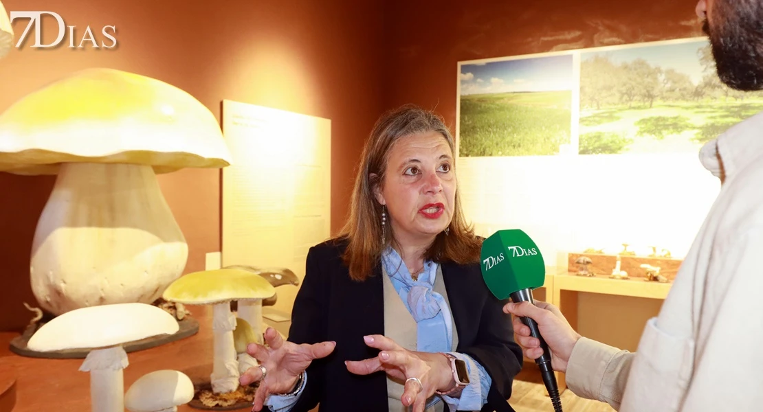 Del campo a la cocina: descubre todas las posibilidades del gurumelo en Villanueva del Frenso