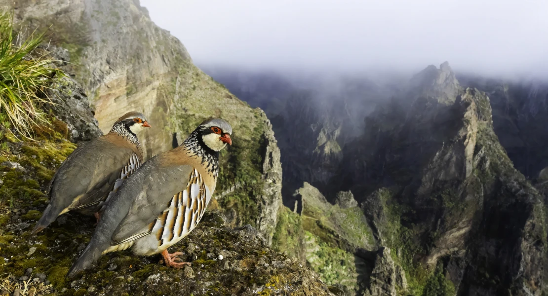 Esta es la fotografía que ha ganado el concurso de FIO en Extremadura