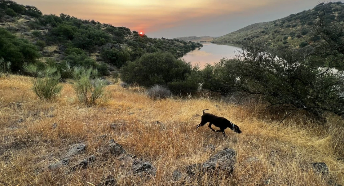 La Diputación ayudará a los cazadores para recuperar la caza menor