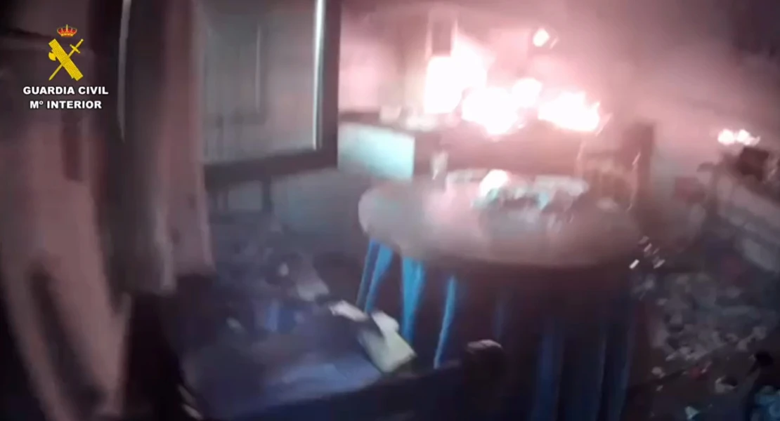 Salvan la vida a dos perros y varios gatos en un incendio en la provincia de Cáceres