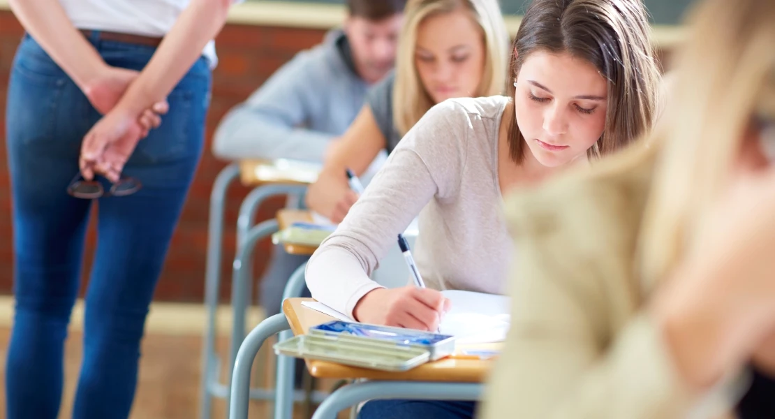 PIDE agradece la rapidez a la Junta: ahora podrán convocar legalmente las oposiciones de Maestro