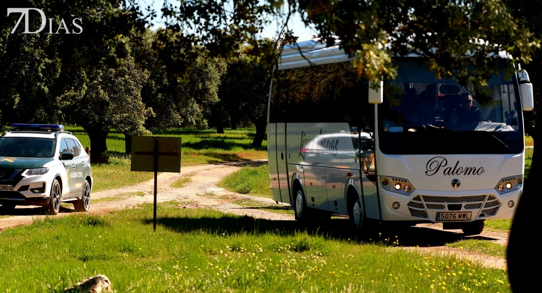 Del campo a la cocina: descubre todas las posibilidades del gurumelo en Villanueva del Frenso