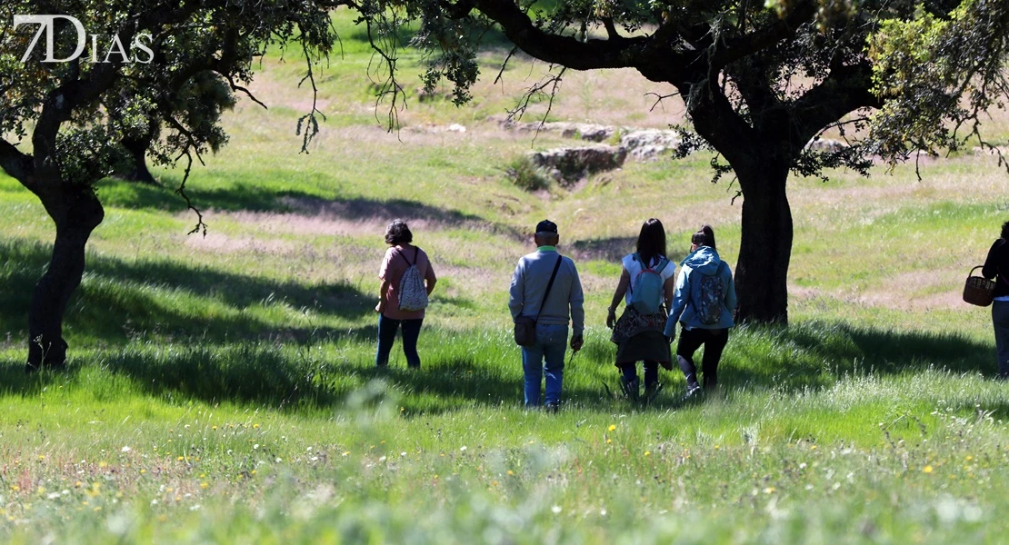 Del campo a la cocina: descubre todas las posibilidades del gurumelo en Villanueva del Frenso