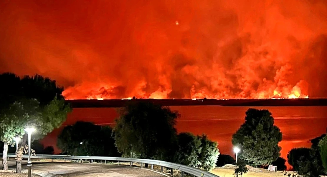 Reclaman medidas urgentes para afrontar una nueva temporada de incendios forestales