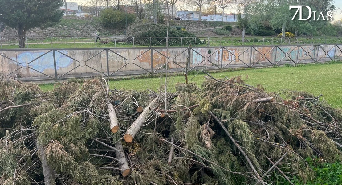 NO PUBLICAR: Así está el parque del Rivillas dos meses después del episodio intenso de borrascas