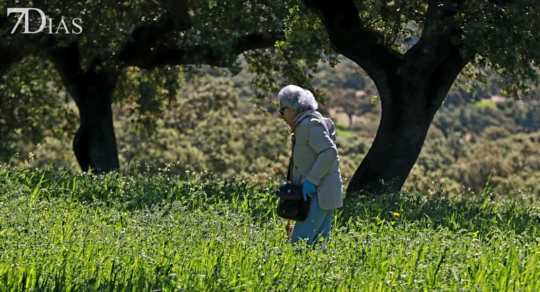 Aficionados de todas partes se unen en Villanueva del Fresno en busca del gurumelo