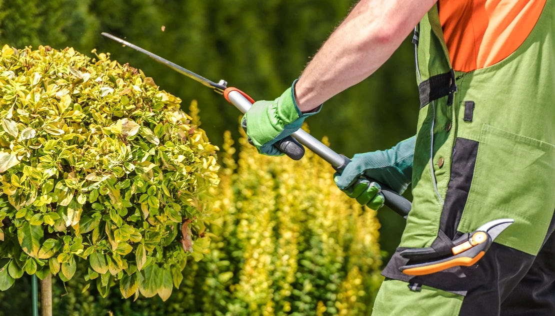 El DOE publica ayudas para que los ayuntamientos contraten desempleados en Extremadura