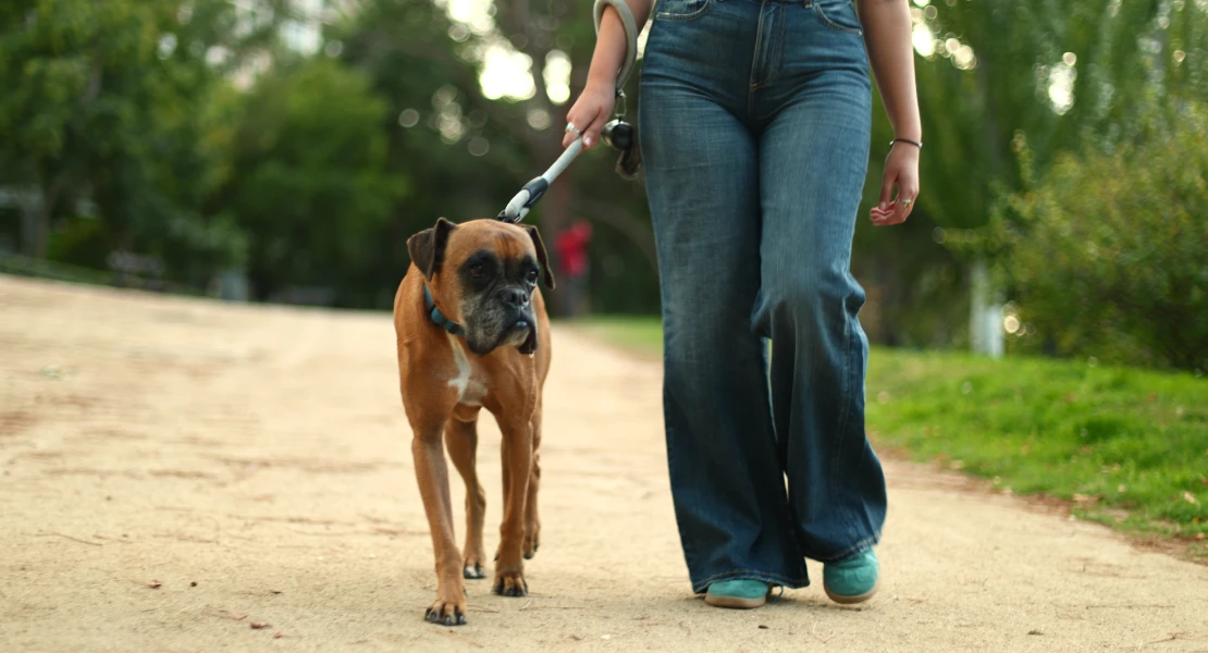 Badajoz lanza un ciclo charlas sobre convivencia con mascotas y adopción responsable