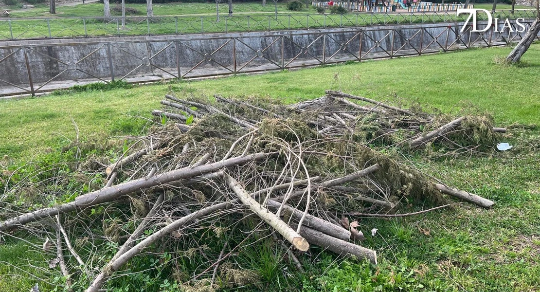 NO PUBLICAR: Así está el parque del Rivillas dos meses después del episodio intenso de borrascas