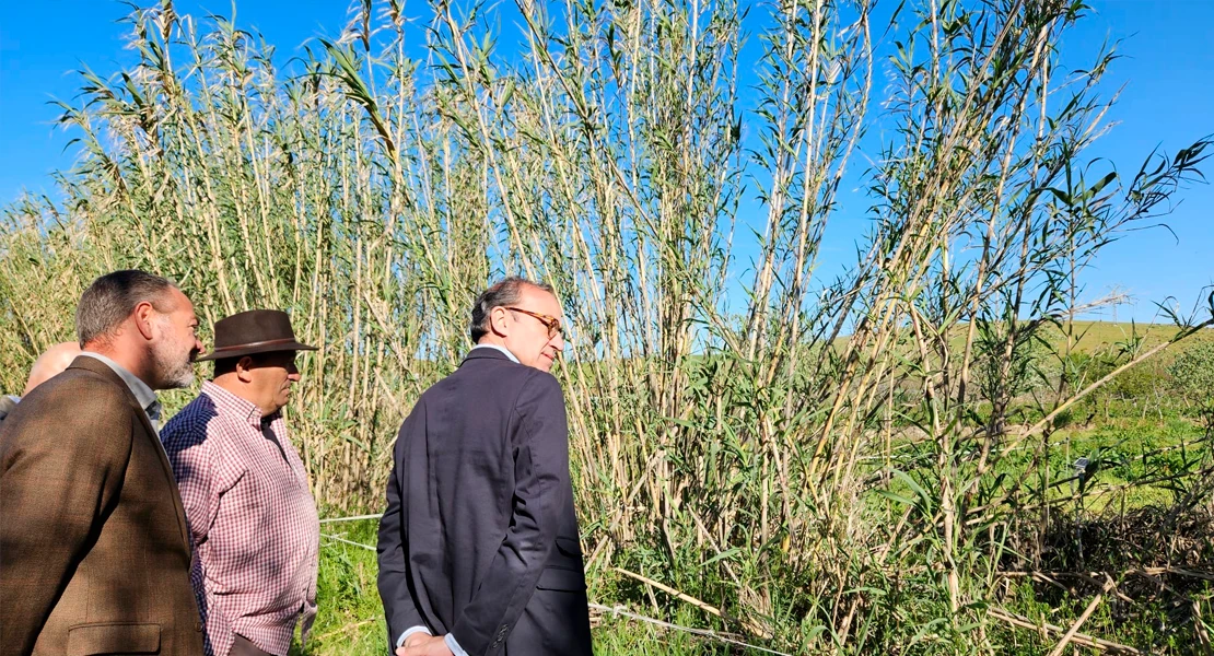 La Junta aportará 110.000 € para evitar inundaciones en Cáceres