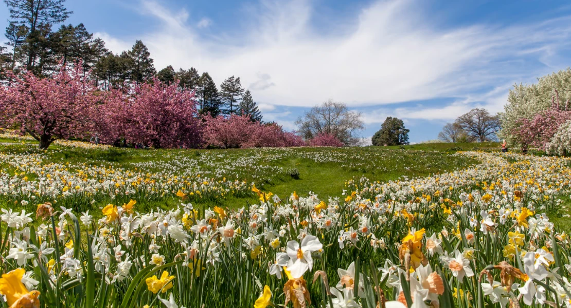 La primavera ya está aquí: más luz, días más largos y un tiempo marcado por la incertidumbre