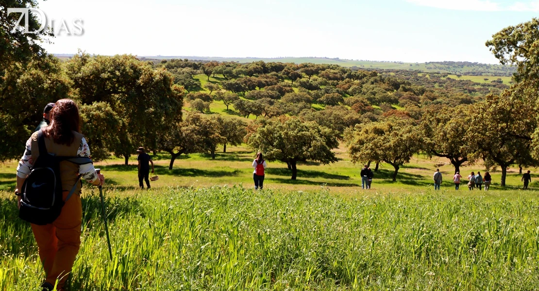 Aficionados de todas partes se unen en Villanueva del Fresno en busca del gurumelo