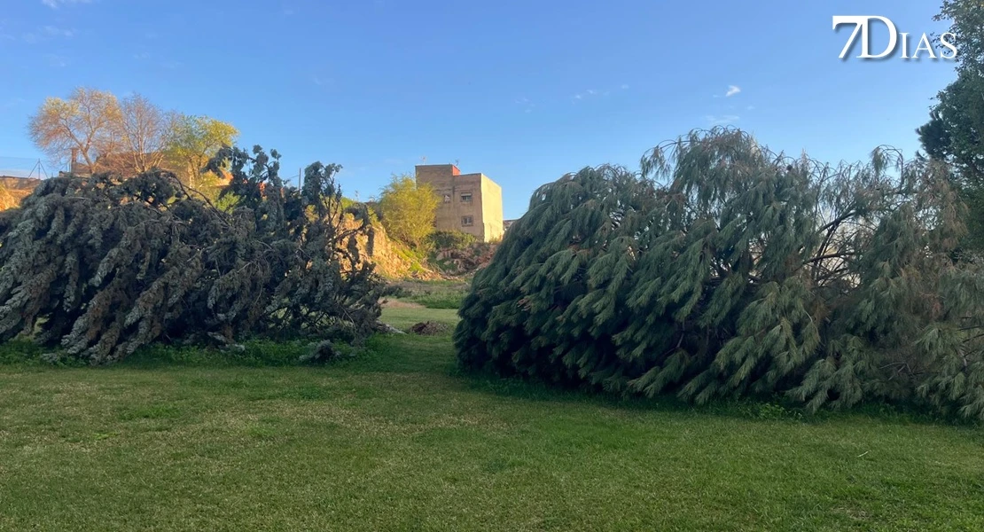 NO PUBLICAR: Así está el parque del Rivillas dos meses después del episodio intenso de borrascas