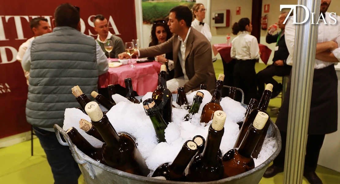 VINAC celebra una nueva edición en Almendralejo: lo mejor del vino, la aceituna y el cava