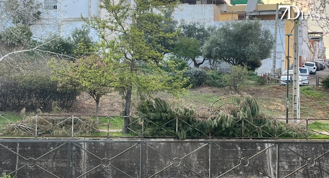 NO PUBLICAR: Así está el parque del Rivillas dos meses después del episodio intenso de borrascas