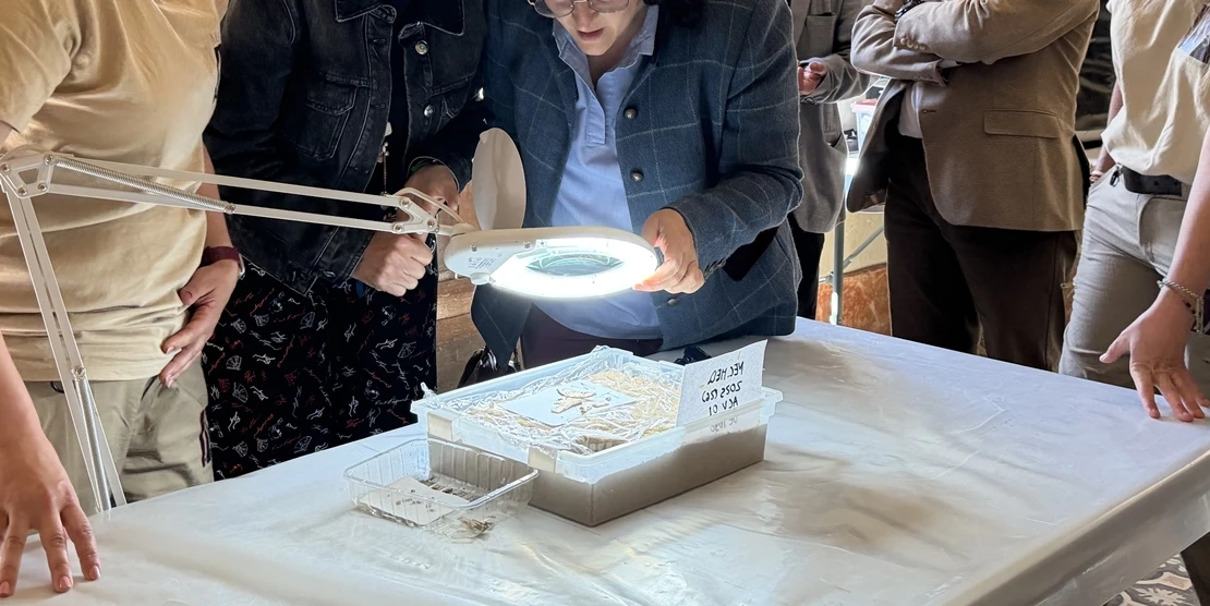 Inauguran una exposición en la necrópolis de Medellín con los hallazgos más recientes