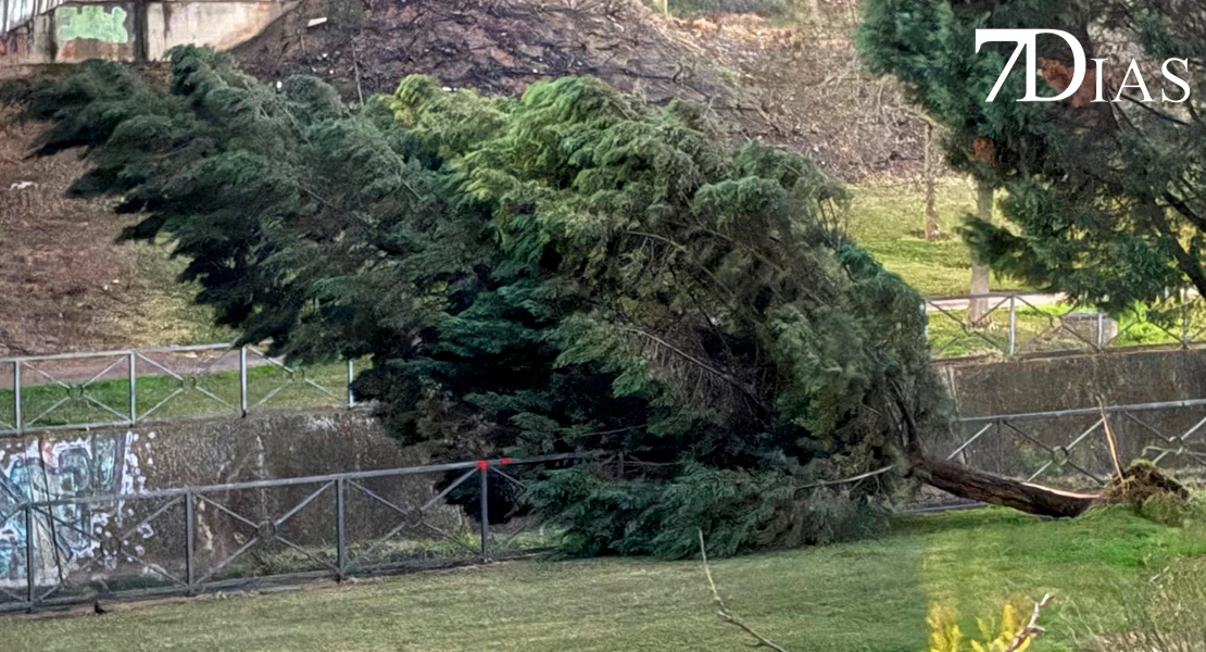 NO PUBLICAR: Así está el parque del Rivillas dos meses después del episodio intenso de borrascas