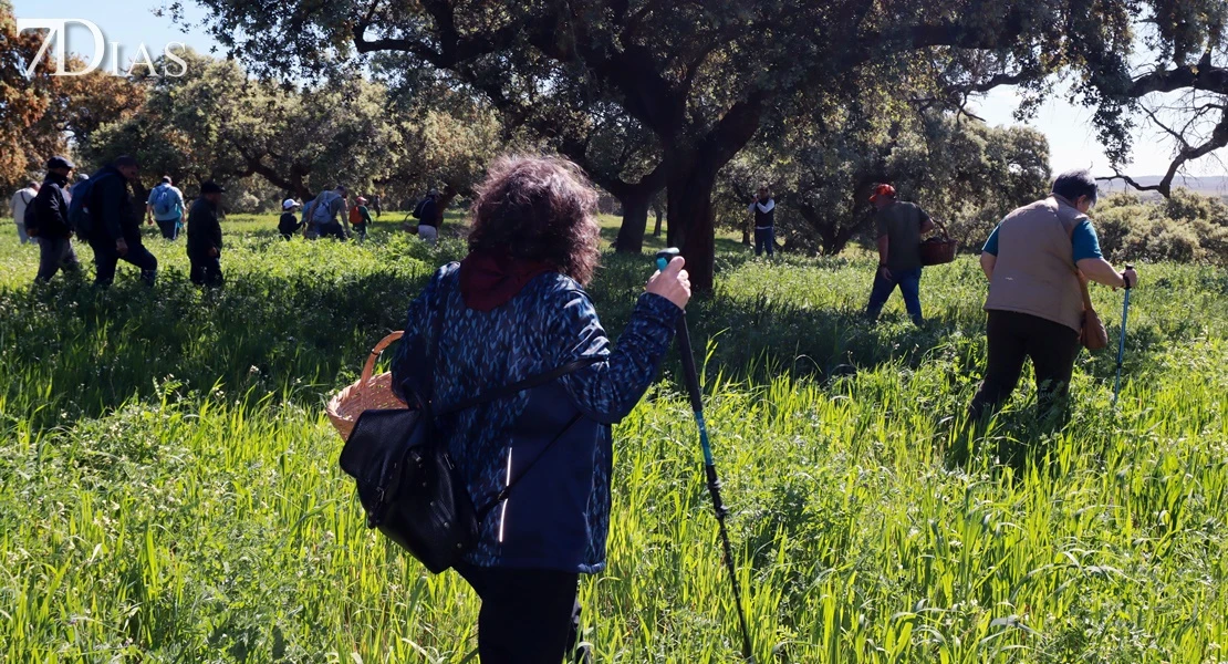 Aficionados de todas partes se unen en Villanueva del Fresno en busca del gurumelo
