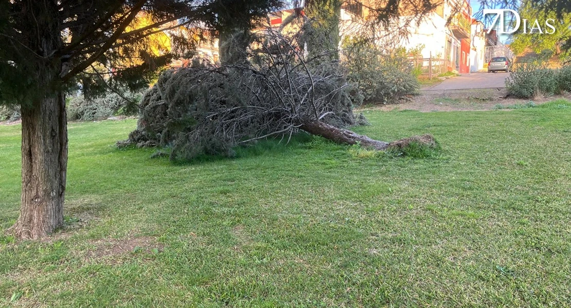 NO PUBLICAR: Así está el parque del Rivillas dos meses después del episodio intenso de borrascas