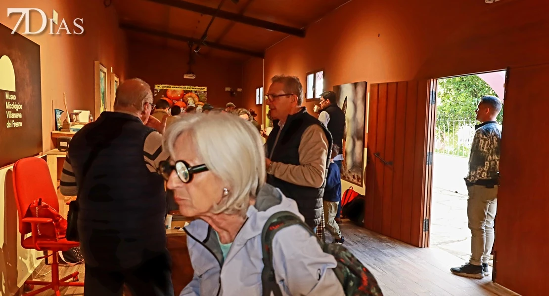 Del campo a la cocina: descubre todas las posibilidades del gurumelo en Villanueva del Frenso