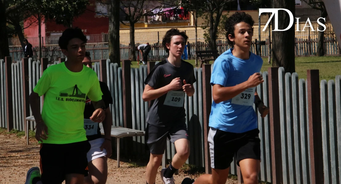 Descubre la propuesta saludable del IES Bioclimático en favor del Banco de Alimentos