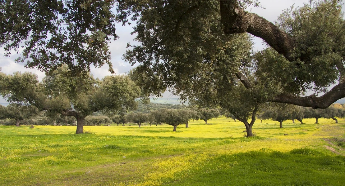 ADENEX pide frenar la venta de la finca La Serrezuela: "Sería una pérdida irreparable"