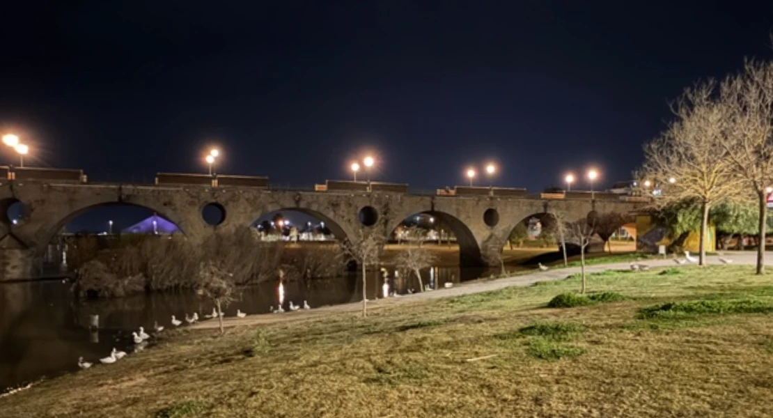 El PSOE denuncia que el Puente de Palmas pierde su iluminación artística y queda a oscuras
