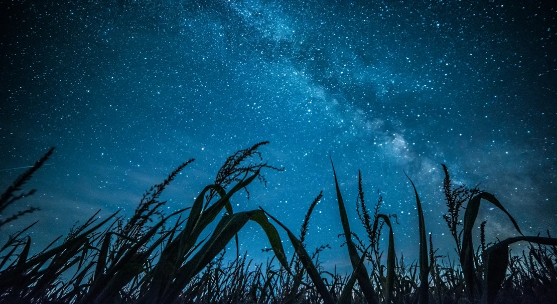 La Cocosa invita a mirar al cielo con una observación astronómica