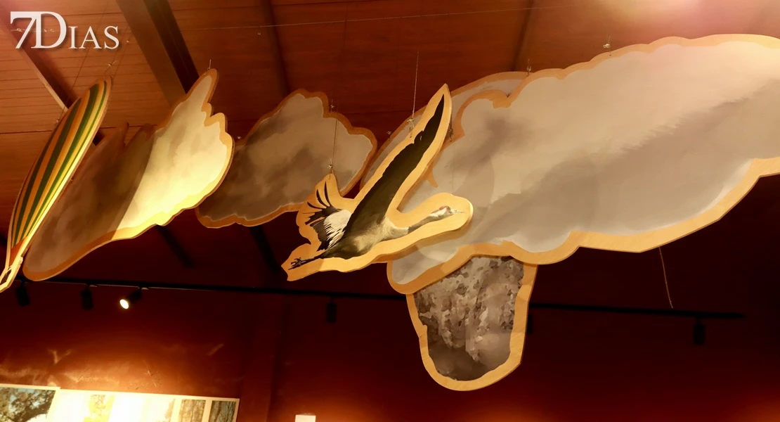 Del campo a la cocina: descubre todas las posibilidades del gurumelo en Villanueva del Frenso