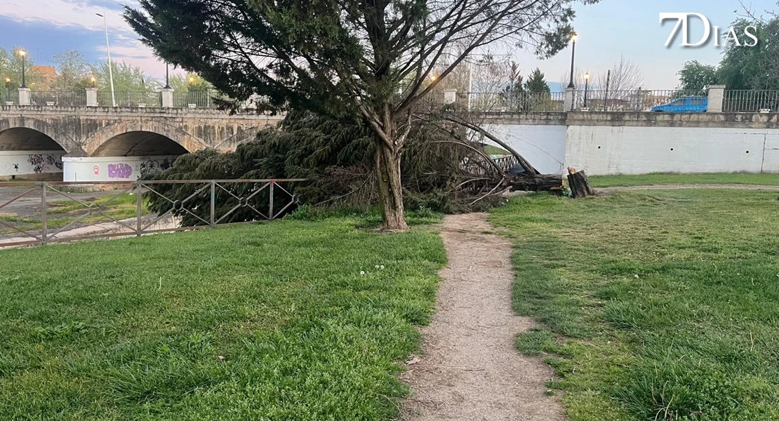 NO PUBLICAR: Así está el parque del Rivillas dos meses después del episodio intenso de borrascas