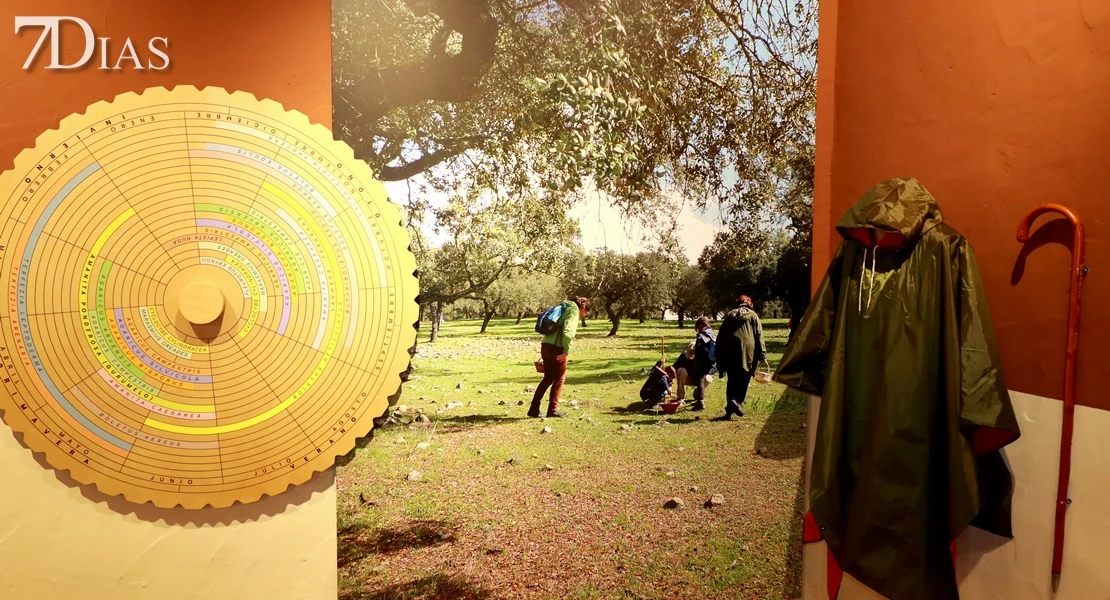 Del campo a la cocina: descubre todas las posibilidades del gurumelo en Villanueva del Frenso